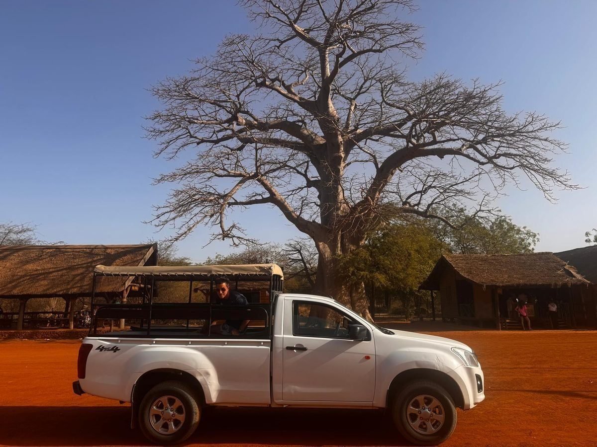 Le 4x4 de Lifa devant un baobab