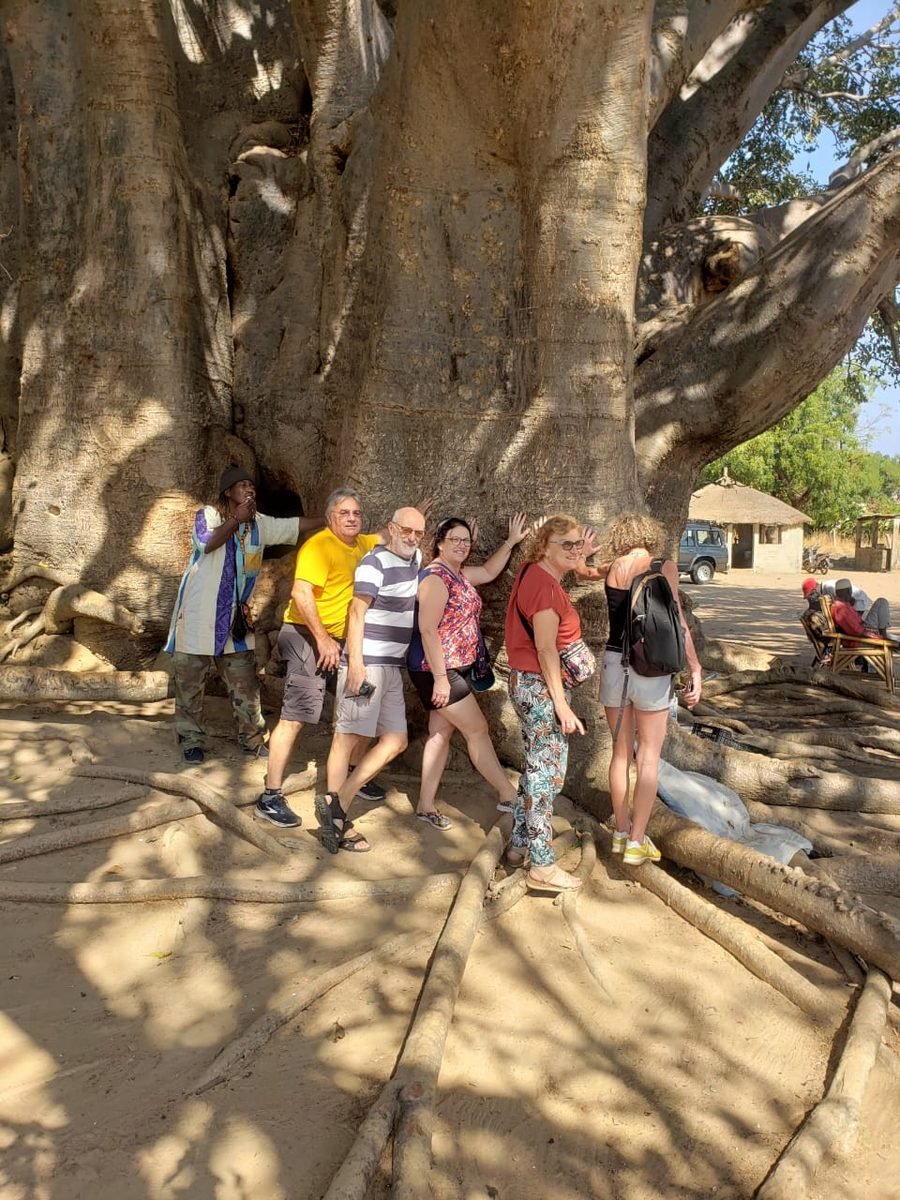 Groupe de touristes devant le baobab sacré de Joal Fadiouth
